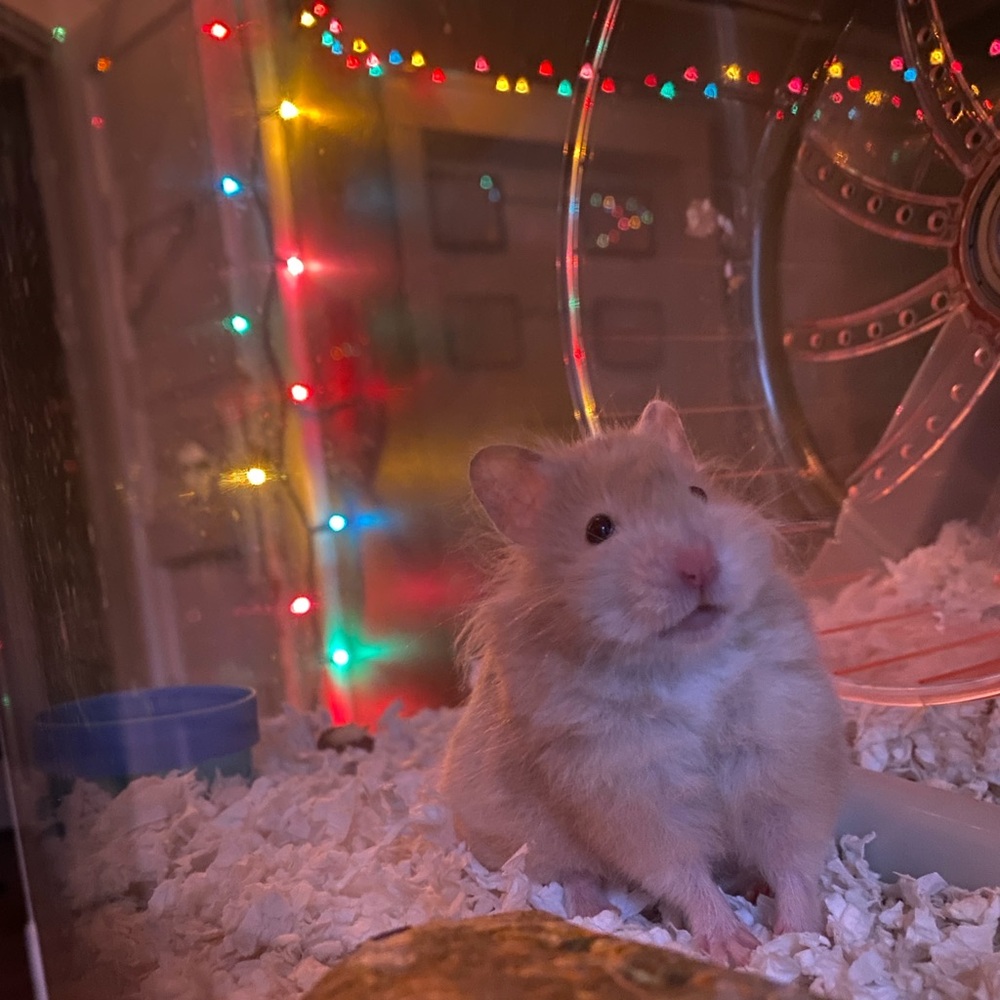 Meet your Posher, Sebastian